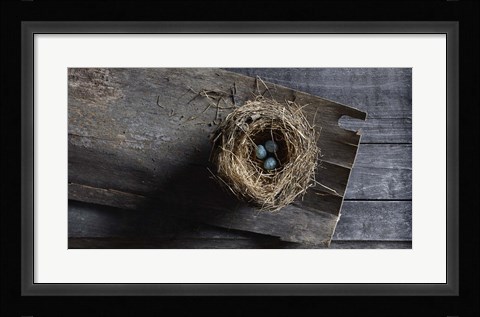 Framed Nest Eggs Print