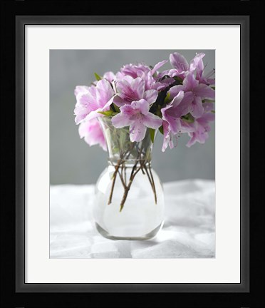 Framed Azalea Print