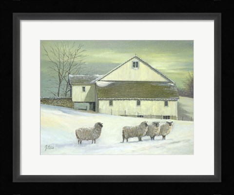Framed Sheep At Granough Print