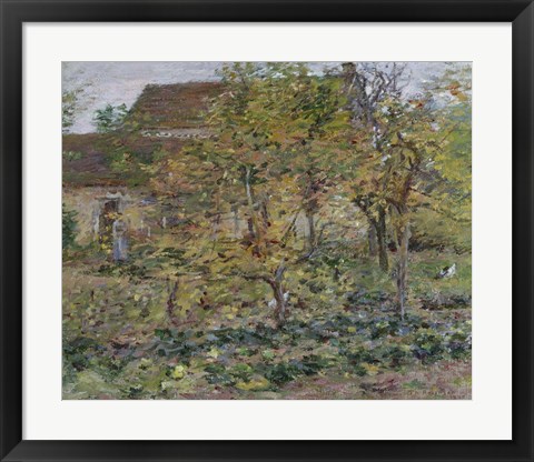 Framed Yellow Apples, 1892 Print