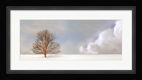 Framed Alone in the Whiteness Print