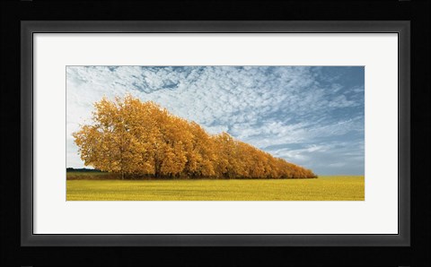 Framed Autumn Colors 1 Print