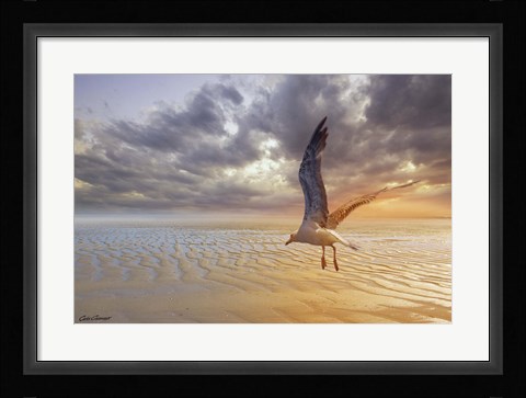 Framed Soft Sunrise on the Beach 5 Print