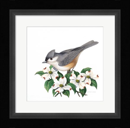 Framed Studio Friends - Titmouse Print