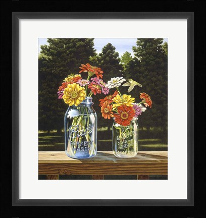 Framed Zinnias a Sunnin' Print