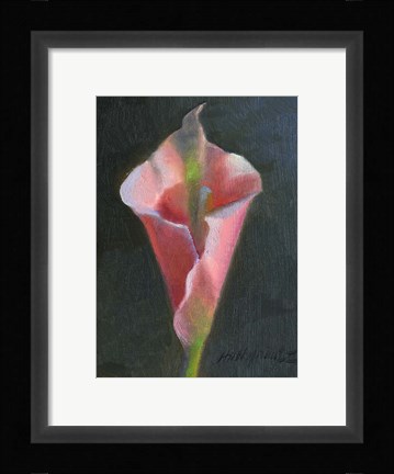 Framed Pink Cala Lily Print