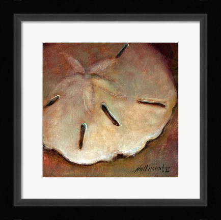 Framed Sand Dollar Print