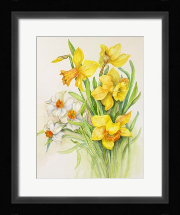 Framed Daffodils- Springs Calling Card Print
