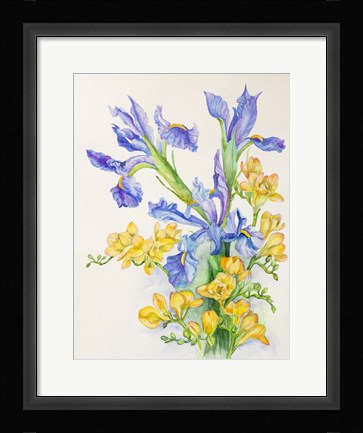 Framed Iris With Gold Fuscia Print