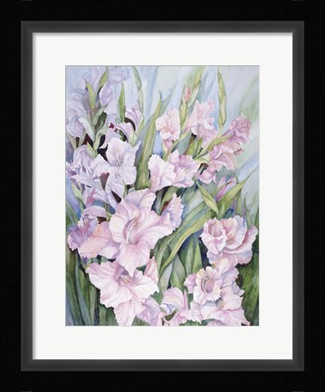 Framed Gladiolus Print