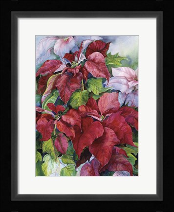 Framed Pointesettia Print