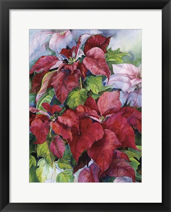 Framed Pointesettia Print