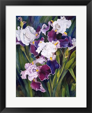 Framed Wind Blown Iris Print