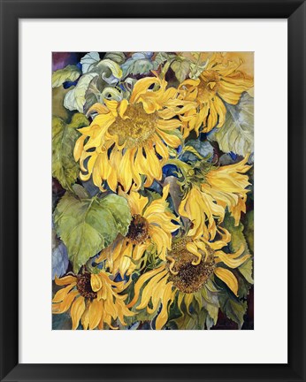 Framed Cascading Sunflowers Print