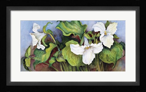 Framed Woodland Trillium A Print