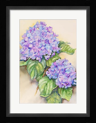 Framed Hydrangea Stem Print