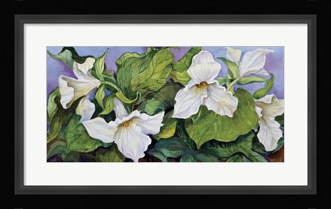 Framed Woodland Trillium B Print