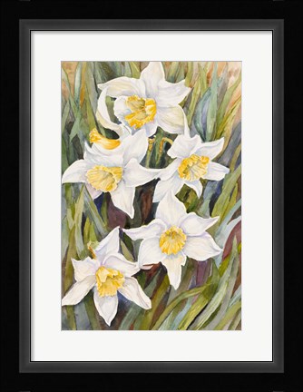 Framed Daffodil Heads Print