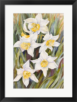 Framed Daffodil Heads Print