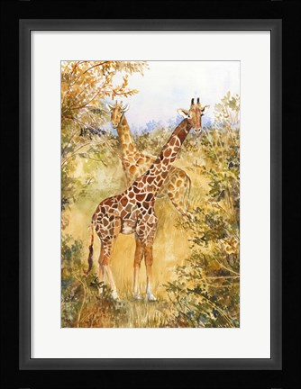 Framed Giraffes Print