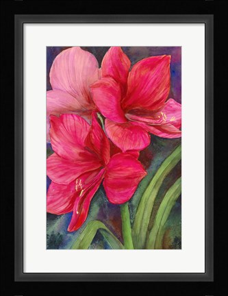 Framed Betty's Amaryllis Print