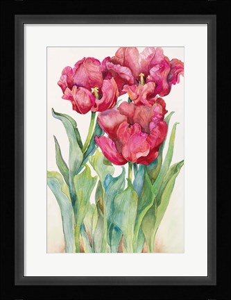 Framed Cherry Red Tulip Print
