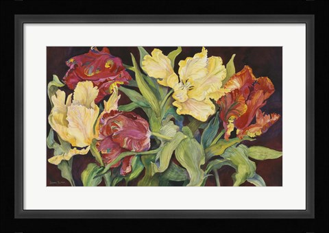 Framed Red And Yellow Parrot Tulips Print