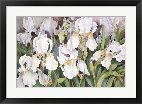 Framed Field Of Iris Print