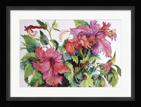 Framed Hibiscus Print