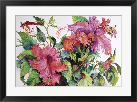 Framed Hibiscus Print