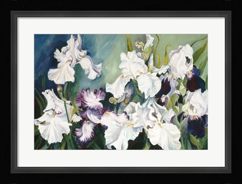 Framed Plum And White Iris Print
