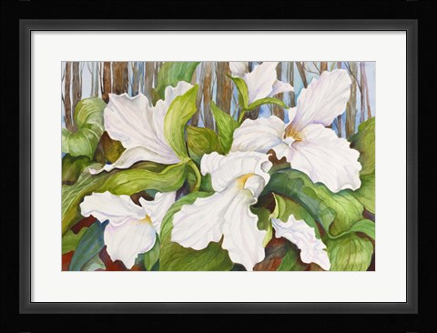 Framed Woodland Trillium Print