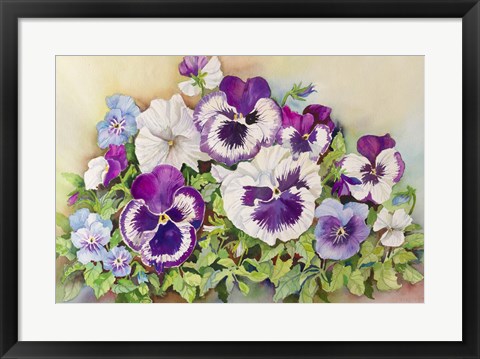 Framed Pansy Cluster Print