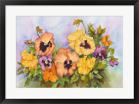 Framed Pansies in a Blue Sky Print