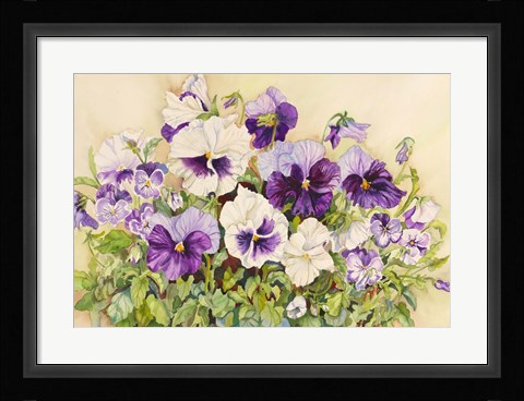 Framed White and Purple Pansies Print
