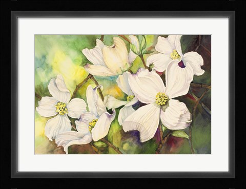 Framed White Dogwood Print