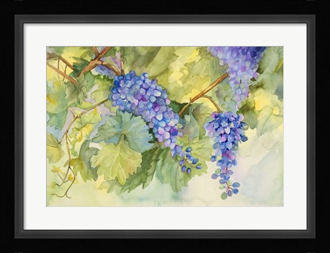Framed Grape Vineyard Print