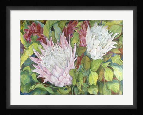 Framed Protea And Red Ginger Print
