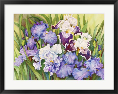 Framed Irises in Shades of Lavender Print