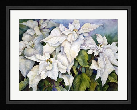 Framed White Poinsettia Print