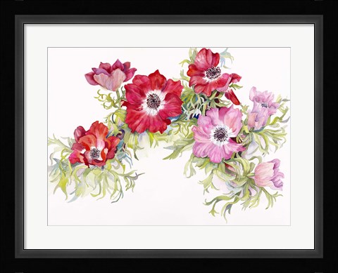 Framed Red Anemonies Print