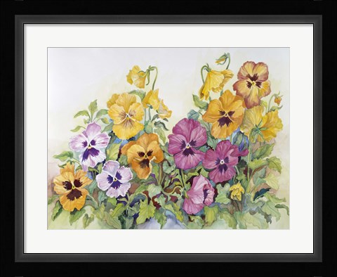 Framed Amber Pansies Print