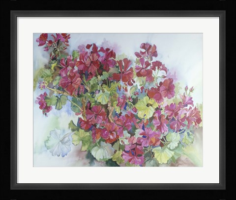 Framed Geraniums Reaching For The Sky Print
