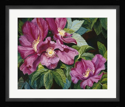 Framed Wild Red Roses Print