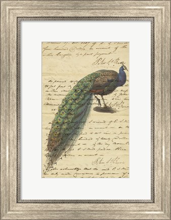 Framed Peacock Script Print