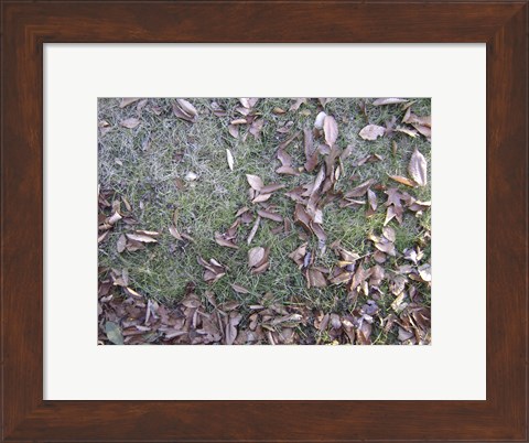 Framed Grass &amp; Leaves Camo Print