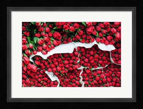 Framed Tulip Street Vendor, Denmark Print