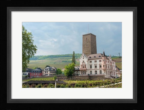 Framed Carl Jung Vineyard, Boosenburg Castle Print