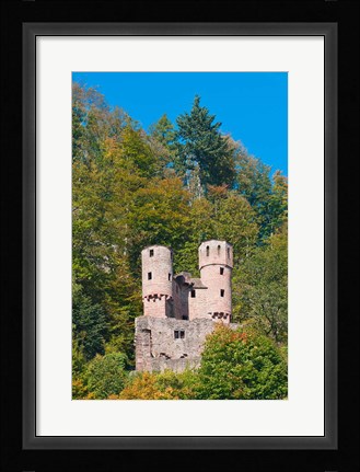 Framed Schwalbennest, Germany Print