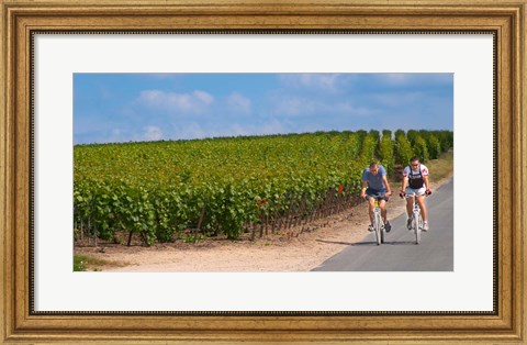 Framed Cyclists in Vineyards of Cote des Blancs Print